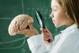 هل تُهدد السمنة صحة دماغك؟