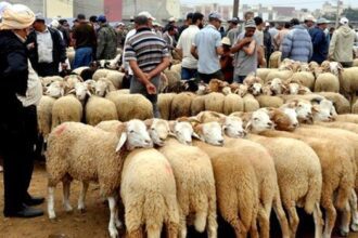 مجموع عطلة عيد الأضحى المبارك في الأردن 9 أيام متتالية