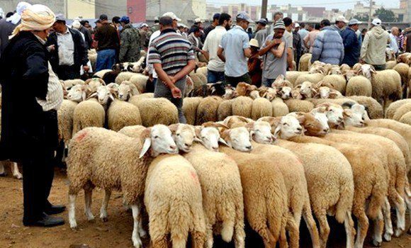 مجموع عطلة عيد الأضحى المبارك في الأردن 9 أيام متتالية