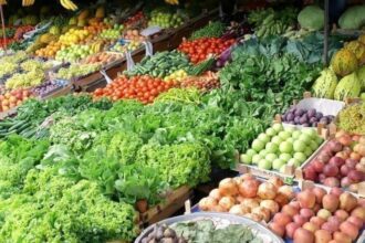 توريد 2990 طنًا من الخضار والفواكه إلى سوق الجملة المركزي في عمان اليوم