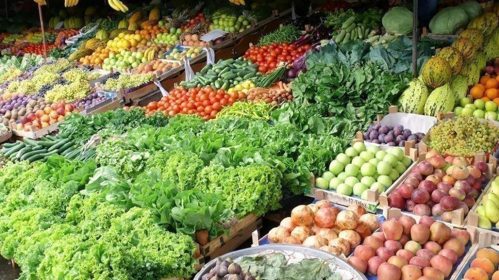 توريد 2990 طنًا من الخضار والفواكه إلى سوق الجملة المركزي في عمان اليوم