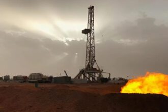 حقل الريشة