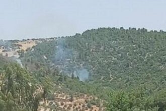 الحرائق تتجدد في منطقة جبل أبو نمر الحرجية بعجلون