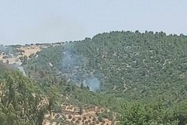 الحرائق تتجدد في منطقة جبل أبو نمر الحرجية بعجلون
