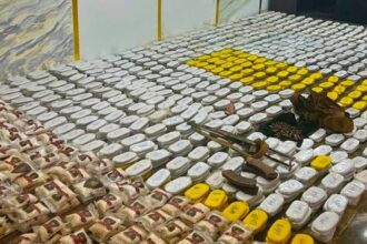 الجيش يحبط محاوله تهريب مخدرات من سوريا الاردن