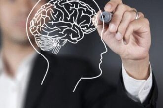 نموذج حاسوبي يحاكي تعقيدات الدماغ في التخطيط واتخاذ القرارات الحاسمة