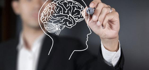 نموذج حاسوبي يحاكي تعقيدات الدماغ في التخطيط واتخاذ القرارات الحاسمة