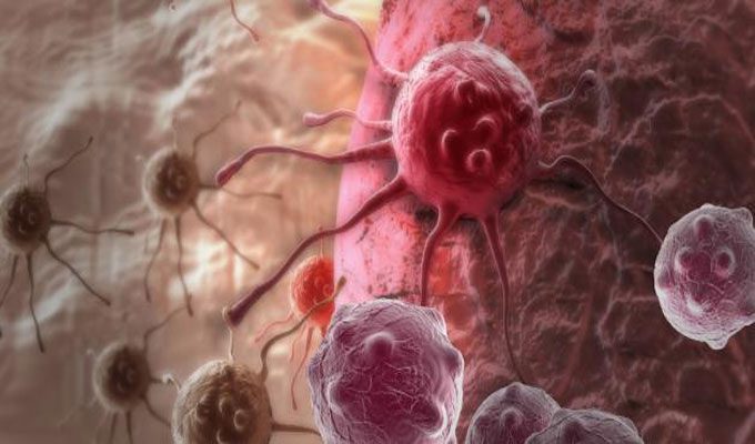 نجاح المرحلة الأولى لاختبارات دواء مضاد للسرطان