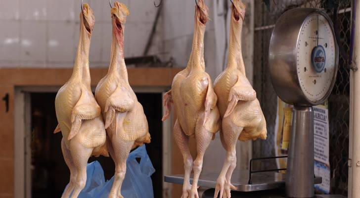 السوق الاردني يعتمد على الإنتاج المحلي للدواجن بنسبة 85%