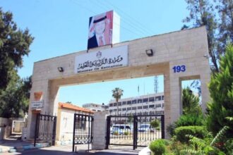 وزارة التربية والتعليم: 10528 طالبا وطالبة حصلوا على معدل فوق 90%