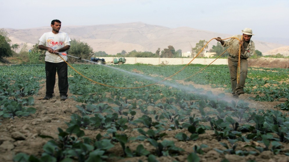 عاجل .. الحكومة تؤكد خلو مياه اليرموك وقناة الملك عبد الله من التلوث