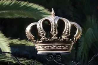 عاجل .. تعيين سفيرة للأردن لدى الفاتيكان وسفير للنمسا … تفاصيل