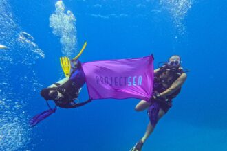 زين تشارك للمرة الرابعة في حملة تنظيف جوف البحر بالتعاون مع ProjectSea وأبو شقرة(فيديو)
