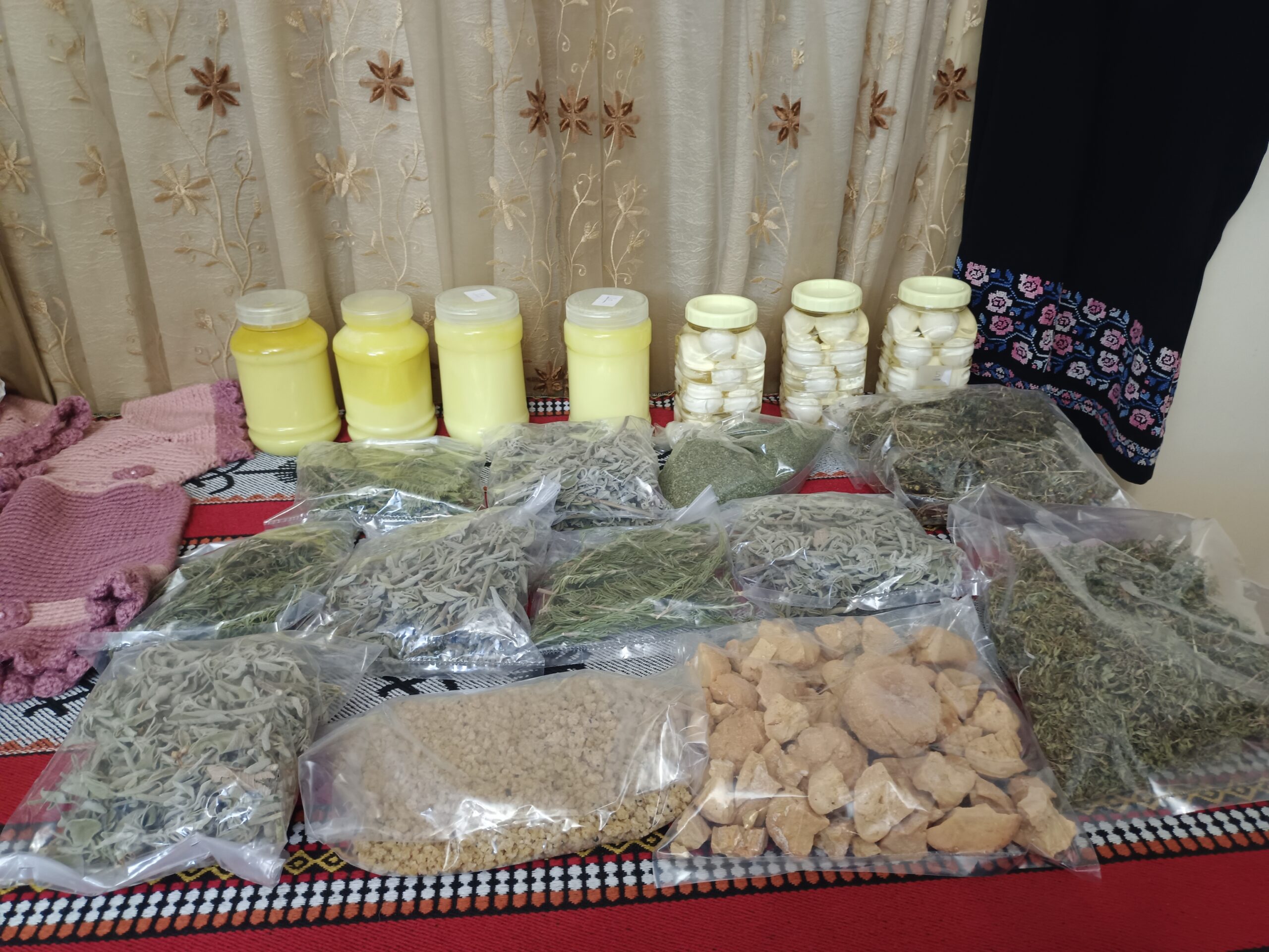 جولة إعلامية إلى موقع "أم الجمال" برفقة وزير السياحة ووزير الاتصال الحكومي ووزيرة الاستثمار(فيديو)