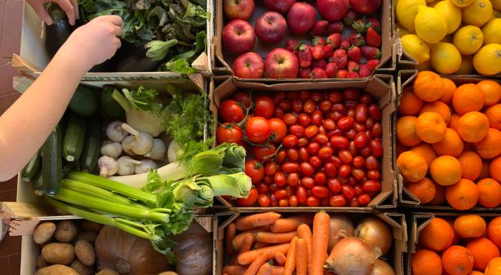 اربد : 761 طن خضار وفواكه وورقيات ترد للسوق المركزي