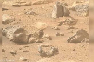 ناسا ترصد صخرة "وجه الإنسان" على سطح المريخ
