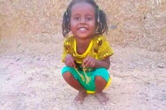 طفلة محاطة بعقارب سامة تُثير قلق السودانيين على وسائل التواصل الاجتماعي