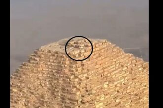 كلب يظهر على قمة هرم خوفو يثير الجدل في مصر