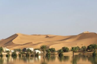 الأمطار التاريخية تُغرق الصحراء الكبرى بفيضانات نادرة