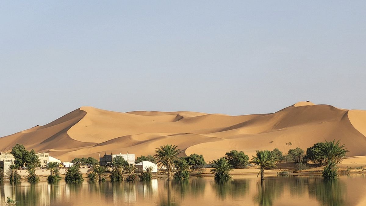 الأمطار التاريخية تُغرق الصحراء الكبرى بفيضانات نادرة