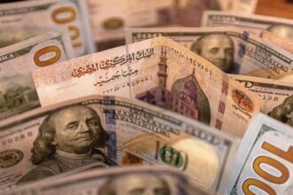 الدين المصري يشهد انخفاضًا قويًا لأول مرة