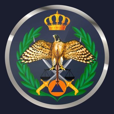 الأمن العام: ضبط الشخص الذي اطلق النار داخل أحد المصانع في العقبة أمس