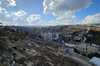 أجواء خريفية معتدلة مع ظهور غيوم على ارتفاعات منخفضة