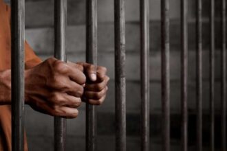 عاجل | محكمة عمان تدين متهمًا استولى على مركبة بهوية مزورة