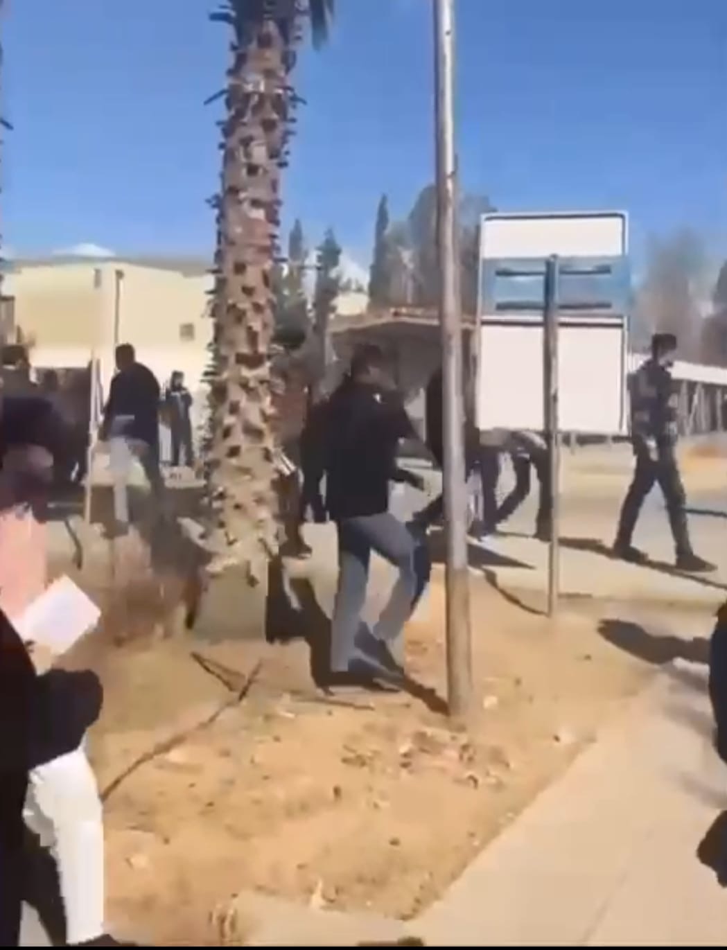 بالفيديو ما جرى أمس في جامعة آل البيت