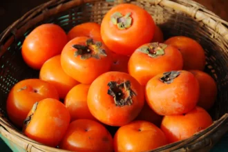 تعرف على الفوائد الذهبية للكاكا