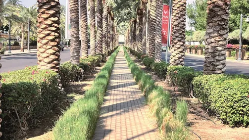 ممرات مشاة جديدة في العقبة تعزز التجربة السياحية
