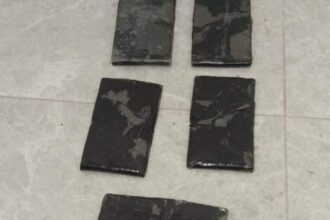 الجيش يحبط محاولة تهريب مواد مخدرة بواسطة طائرة مسيرة