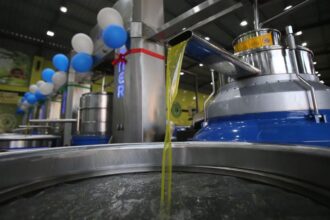 المواصفات والمقاييس تدعوا إلى إبلاغها عن التلاعب بعبوات زيت الزيتون