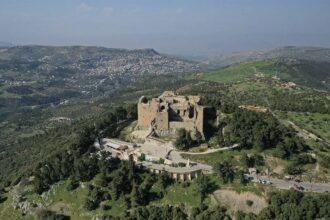 أمطار عجلون تعزز التنمية الزراعية وتدعم الموارد المائية