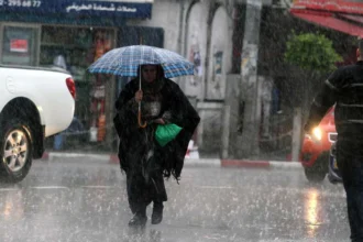 عاجل | الطقس: أمطار غزيرة وبرودة شديدة في المملكة