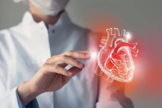 هل يمتلك القلب "دماغًا صغيرًا" يتحكم في ضرباته؟