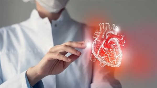 هل يمتلك القلب "دماغًا صغيرًا" يتحكم في ضرباته؟