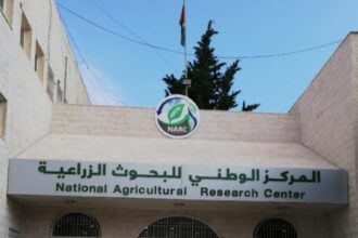 البحوث الزراعية: ثلاث مشاريع من حاضنة الابتكار تحصد وسام اليوبيل الفضي واربع مشاريع بجوائز الحسين