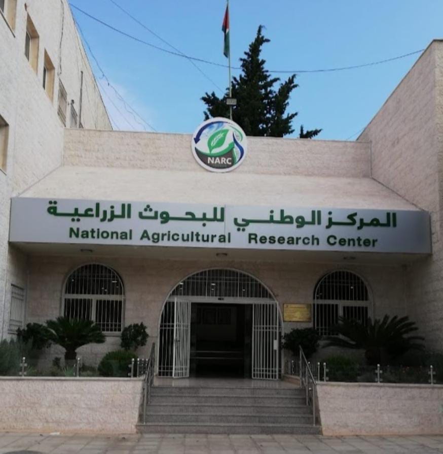 البحوث الزراعية: ثلاث مشاريع من حاضنة الابتكار تحصد وسام اليوبيل الفضي واربع مشاريع بجوائز الحسين