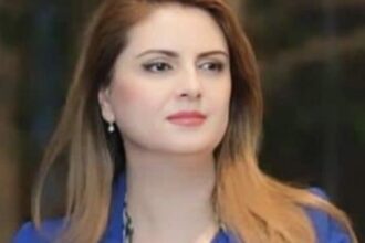الحياري تكتب: بين هدنة لبنان مأساة غزة وحرب الميليشيات في سوريا