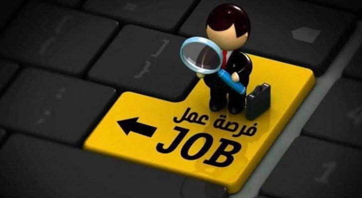 البكار: توفير 270 فرصة عمل جديدة لأبناء محافظة جرش