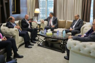 الفايز يلتقي رئيس لجنة الشؤون الخارجية بمجلس الشيوخ المصري
