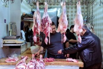 عاجل | انخفاض أسعار اللحوم الحمراء في سوريا بنسبة 40%