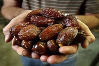 عاجل | وزير المياه يطلق مشروعاً تنموياً لإنتاج التمور في الأغوار الوسطى