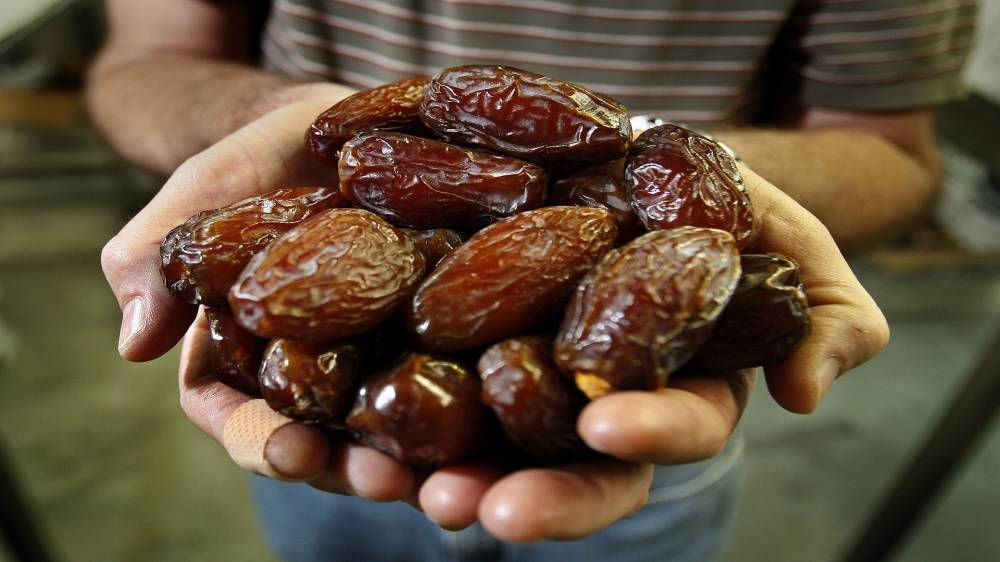 عاجل | وزير المياه يطلق مشروعاً تنموياً لإنتاج التمور في الأغوار الوسطى