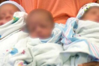 فضيحة تهز مصر..صفحات على فيسبوك تعرض أطفالاً للبيع بثمن بخس