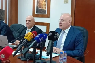 شحادة: تقسيم القطاعات والشراكة مع الخاص للنمو