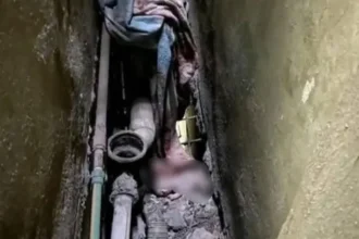 طفلة مصرية حديثة الولادة تنجو من الموت بعد إلقائها من سطح المنزل