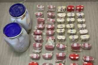 17 مروجًا وتاجرًا في قبضة الأمن وضبط كميات ضخمة من الحشيش والأسلحة