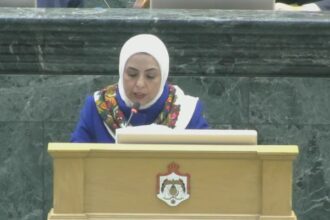 الحجايا: المشكلة في تنفيذ السياسات المالية لا في الديون
